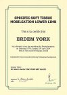 Fzt. Erdem Yörükoğlu Fizyoterapi sertifikası