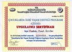 Op. Dr. Mustafa Murat Öztürk Plastik Rekonstrüktif ve Estetik Cerrahi sertifikası