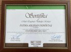 Uzm. Psk. Dan. Aslıhan Demirtaş Psikoloji sertifikası