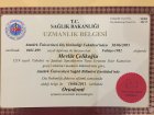 Doç. Dr. Dt. Mevlüt Çelikoğlu Diş Hekimi sertifikası