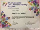 Doç. Dr. Dt. Mevlüt Çelikoğlu Diş Hekimi sertifikası