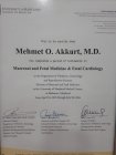Doç. Dr. Mehmet Özgür Akkurt Kadın Hastalıkları ve Doğum sertifikası