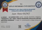 Psk. Dan. Hatice Ekinci Psikoloji sertifikası