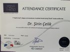 Uzm. Dr. Şirin Çelik Dermatoloji sertifikası