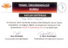 Doç. Dr. Bora Coskun Kadın Hastalıkları ve Doğum sertifikası