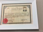 Prof. Dr. Ali Metin Görgüner Göğüs Hastalıkları sertifikası