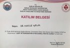 Doç. Dr. Hatice Çelik Kadın Hastalıkları ve Doğum sertifikası