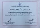 Uzm. Dr. Pelin Akgün Gerçek Çocuk Sağlığı ve Hastalıkları sertifikası