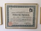 Uzm. Dr. Deniz Arsan Sir Dermatoloji sertifikası
