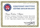 Uzm. Kl. Psk. Erdem Akgün Psikoloji sertifikası