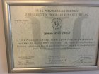 Psk. Gülçin Dönmez Fidan Psikoloji sertifikası