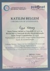 Psk. Özge Yılmaz Psikoloji sertifikası