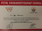 Op. Dr. Ali Bahadırlı Kadın Hastalıkları ve Doğum sertifikası