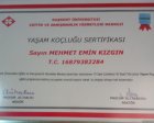 Klinik Psikolog  Mehmet Emin Kızgın Psikoloji sertifikası