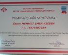 Klinik Psikolog  Mehmet Emin Kızgın Psikoloji sertifikası