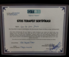 Uzm. Fzt. Dilan Şimşek Fizyoterapi sertifikası