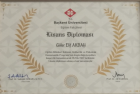 Psk. Dan. Elif Akbay Psikoloji sertifikası