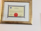 Op. Dr. Çiğdem Karas Kadın Hastalıkları ve Doğum sertifikası