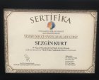 Yrd. Doç. Dr. Sezgin Kurt Kulak Burun Boğaz hastalıkları - KBB sertifikası