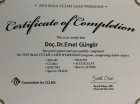Prof. Dr. Emel Güngör Dermatoloji sertifikası