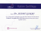 Prof. Dr. Sedat Işıkay Çocuk Sağlığı ve Hastalıkları sertifikası