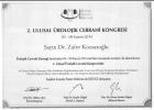 Prof. Dr. Zafer Kozacıoğlu Üroloji sertifikası