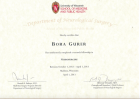 Prof. Dr. Bora Gürer Beyin ve Sinir Cerrahisi sertifikası