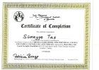 Dr. Sümeyye Taş Akupunktur sertifikası