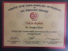 Prof. Dr. Ertuğrul Şener Ortopedi ve Travmatoloji sertifikası