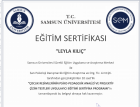 Aile Danışmanı Leyla Kılıç Aile Danışmanı sertifikası