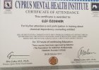 Uzm. Kl. Psk. Elif Özdemir Psikoloji sertifikası