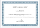 Uzm. Kl. Psk. Emine Özdemir Psikoloji sertifikası