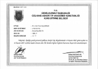 Prof. Dr. Ahmet Ziya Balta Genel Cerrahi sertifikası