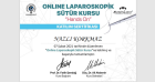 Op. Dr. Nazlı Korkmaz Kadın Hastalıkları ve Doğum sertifikası