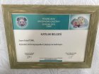 Prof. Dr. Erdal Türk Çocuk Cerrahisi sertifikası