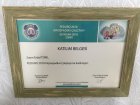 Prof. Dr. Erdal Türk Çocuk Cerrahisi sertifikası