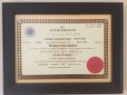 Prof. Dr. Emin Balkan Çocuk Cerrahisi sertifikası
