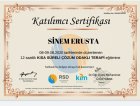 Uzm. Psk. Sinem Erusta Psikoloji sertifikası