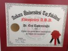Prof. Dr. Erol Taşdemiroğlu Beyin ve Sinir Cerrahisi sertifikası