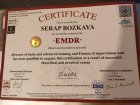 Psk. Dan. Serap Bozkaya Psikoloji sertifikası