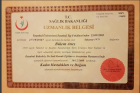 Op. Dr. Bülent Arıcı Kadın Hastalıkları ve Doğum sertifikası