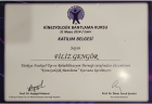 Dr. Öğr. Üyesi Filiz Gengör Fiziksel Tıp ve Rehabilitasyon sertifikası