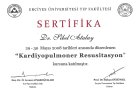 Op. Dr. Sibel Atalay Plastik Rekonstrüktif ve Estetik Cerrahi sertifikası