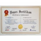 Uzm. Psk. Batuhan Efe Psikoloji sertifikası