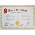 Uzm. Psk. Batuhan Efe Psikoloji sertifikası