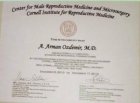 Op. Dr. Abdullah Arman Özdemir Üroloji sertifikası