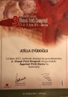 Doç. Dr. Atilla Adnan Eyüboğlu Plastik Rekonstrüktif ve Estetik Cerrahi sertifikası