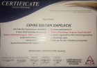 Psk. Cemre Damlacık Psikoloji sertifikası