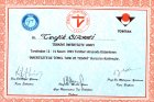 Op. Dr. Tevfik Uğur Sipahi Kadın Hastalıkları ve Doğum sertifikası