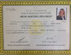 Dr. Öğr. Üyesi Şebnem Altun Diş Hekimi sertifikası